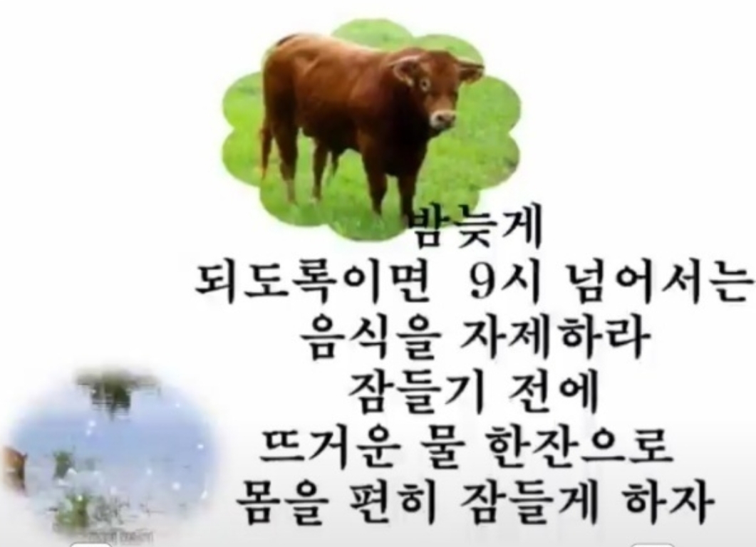 당신의 평생 건강을 위해서