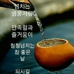 30년 동안 나를 지켜준 詩