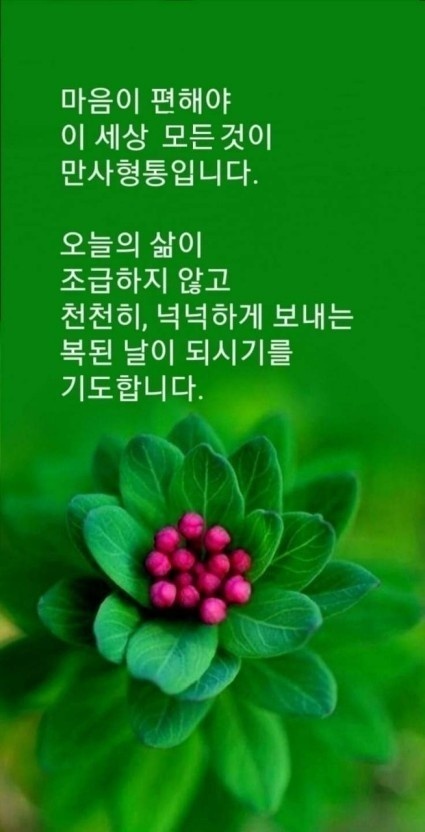 野合의 유래