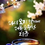 茶山 정약용이 老年有情에 관해 마음으로 쓴 글+ 현대詩 입니다