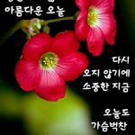 어느 아버지의 이야기