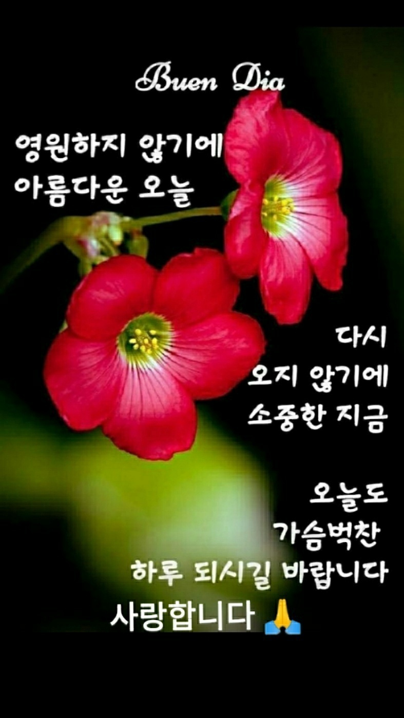 어느 아버지의 이야기