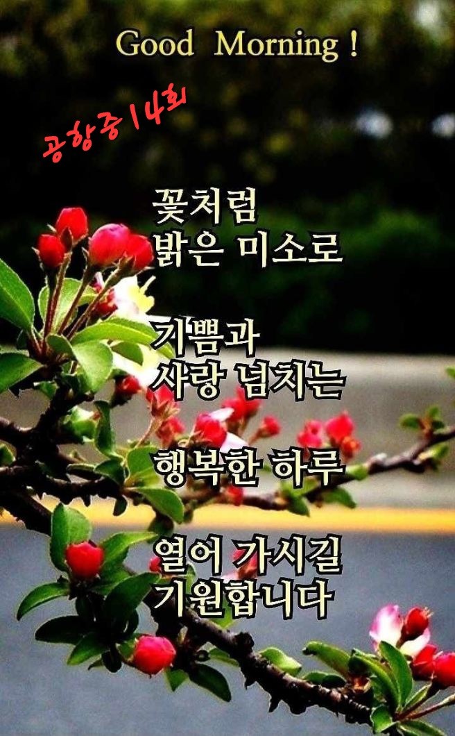 좋은 운을 부르는 친구