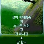 삶이 힘들 때는 다산 정약용에게 배운다