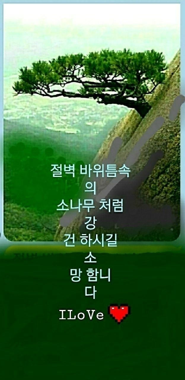 삶이 힘들 때는 다산 정약용에게 배운다