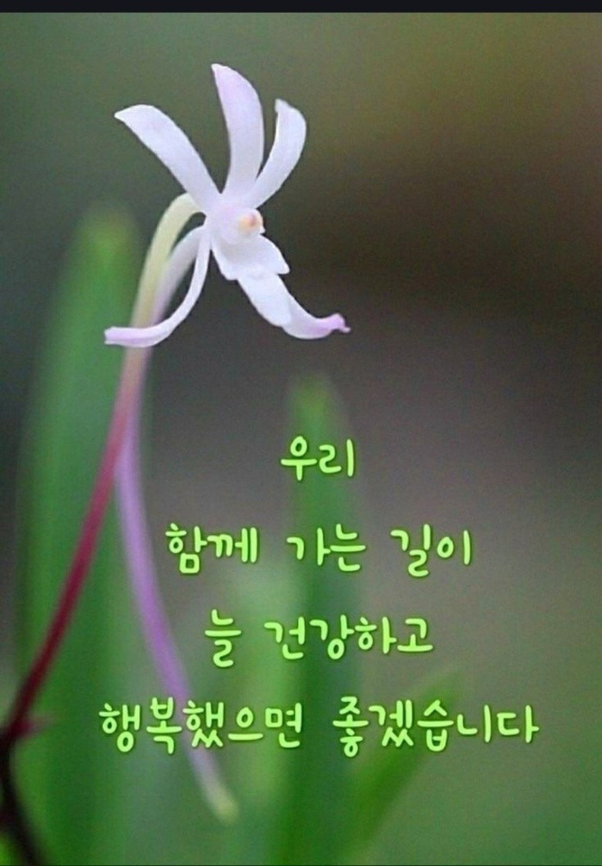 마지막까지