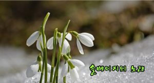 솔베이지의 노래