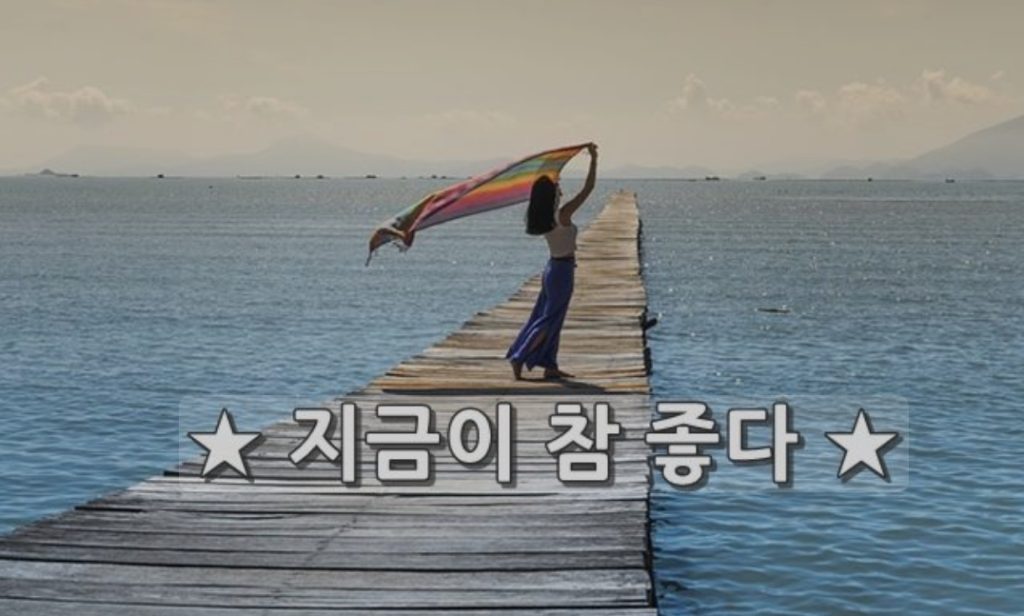 [지금이 참 좋다]