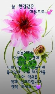 양파
