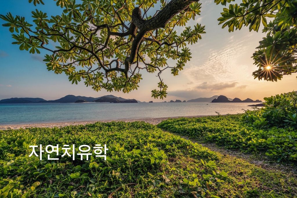 [자연치유학 박사 金泰一]