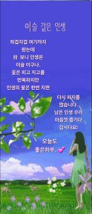 치매 조심하세요 글에