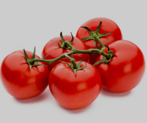 🍅 토마토의 신비 🍅