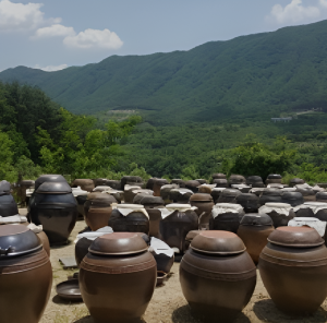 □전통 된장으로 노년의 몸을 활기있게 
