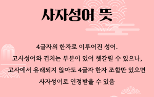  틀리기 쉬운 사자성어